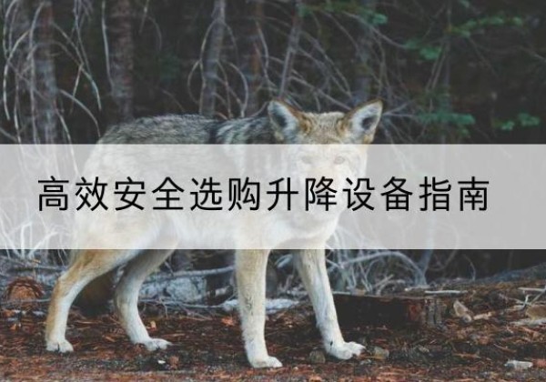 云梦升降货梯厂家推荐-*安全选购升降设备指南