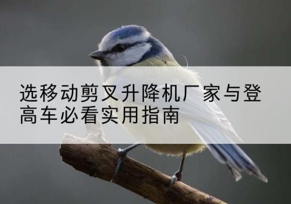 云梦电动升降机厂家-选移动剪叉升降机厂家与登高车必看实用指南