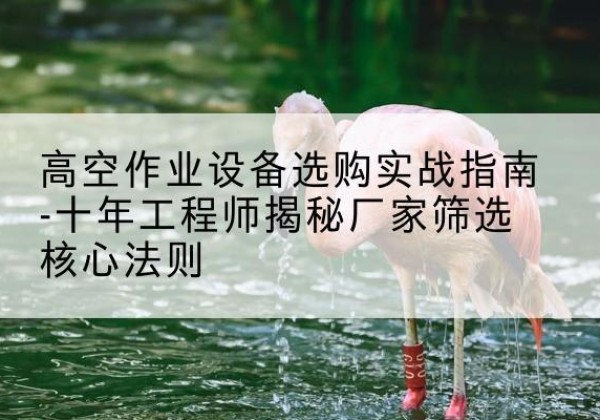云梦剪叉式升降机厂家-高空作业设备选购实战指南-十年工程师揭秘厂家筛选核心法则